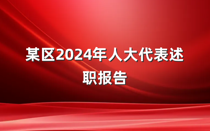 某区2024年人大代表述职报告
