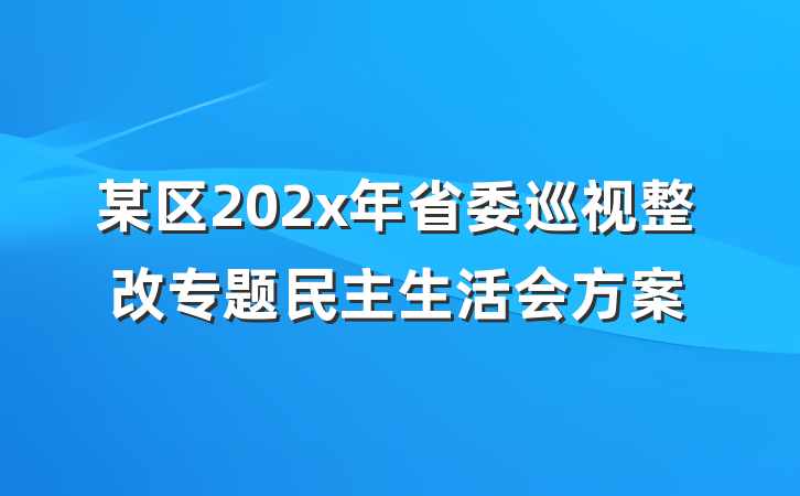 某区202x年省委巡视整改专题民主生活会方案