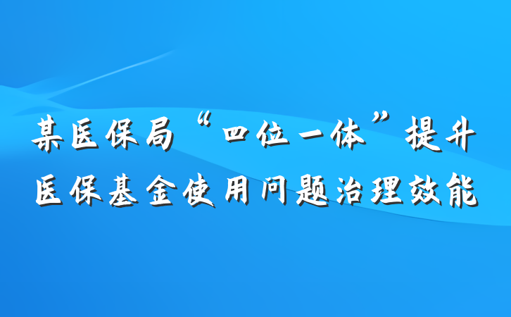 某医保局“四位一体”提升医保基金使用问题治理效能