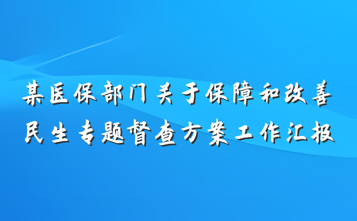 某医保部门关于保障和改善民生专题督查方案工作汇报