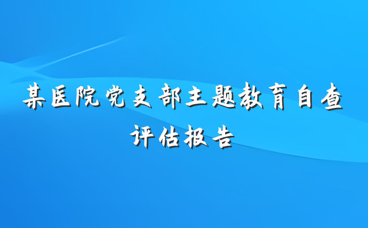 某医院党支部主题教育自查评估报告