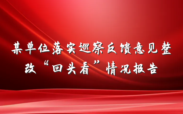 某单位落实巡察反馈意见整改“回头看”情况报告