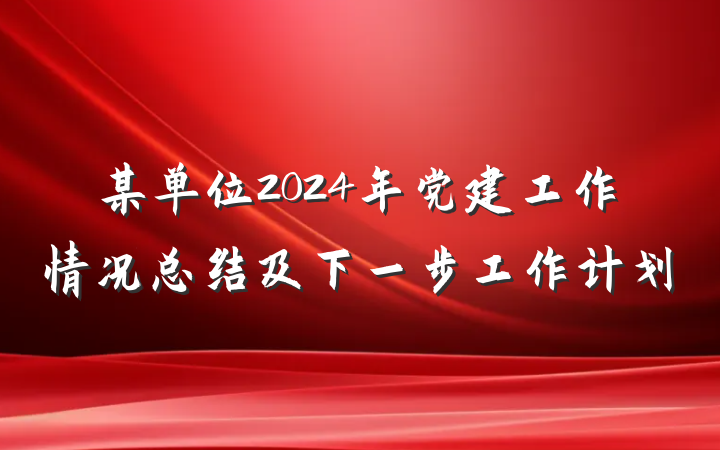 某单位2024年党建工作情况总结及下一步工作计划