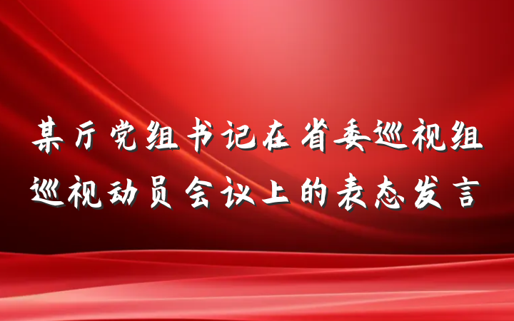 某厅党组书记在省委巡视组巡视动员会议上的表态发言