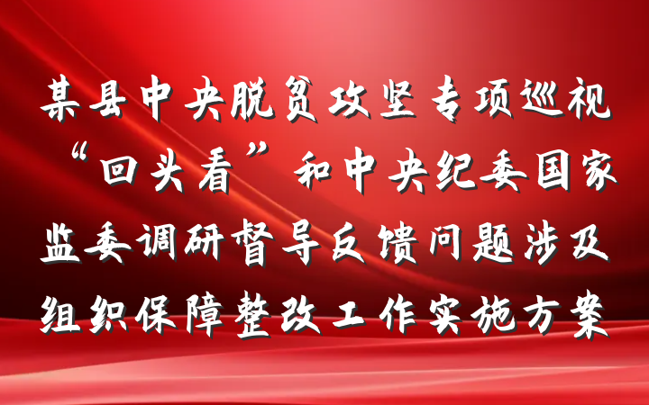某县中央脱贫攻坚专项巡视“回头看”和中央纪委国家监委调研督导反馈问题涉及组织保障整改工作实施方案