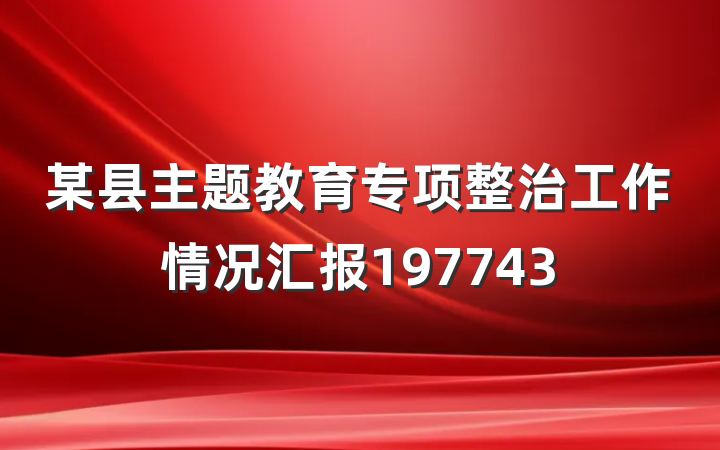 某县主题教育专项整治工作情况汇报197743