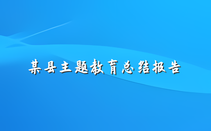 某县主题教育总结报告