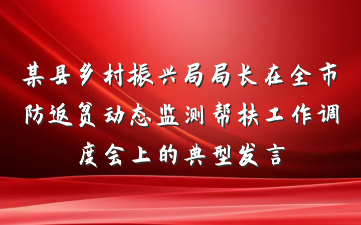 某县乡村振兴局局长在全市防返贫动态监测帮扶工作调度会上的典型发言