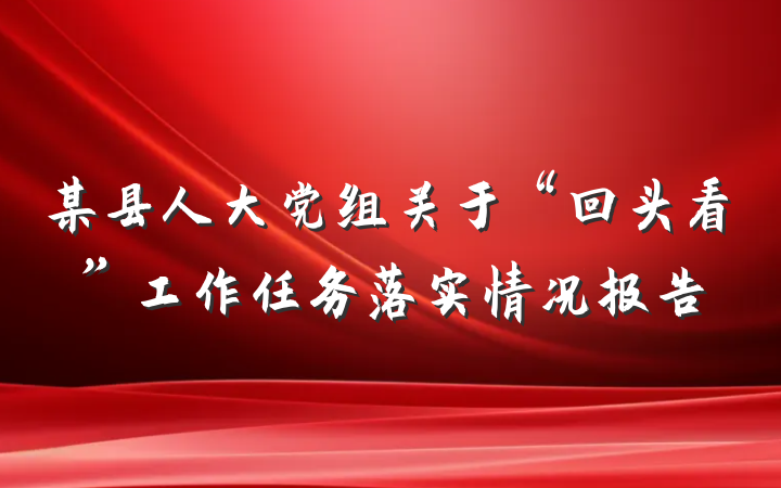某县人大党组关于“回头看”工作任务落实情况报告