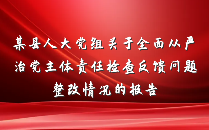 某县人大党组关于全面从严治党主体责任检查反馈问题整改情况的报告
