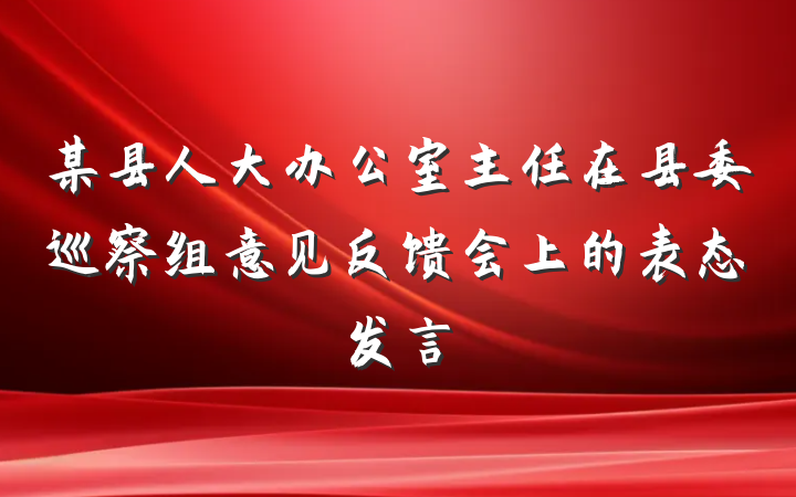 某县人大办公室主任在县委巡察组意见反馈会上的表态发言