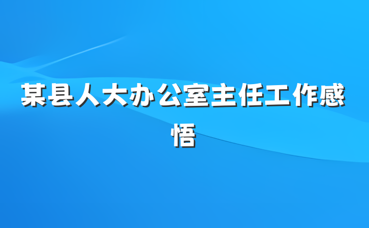 某县人大办公室主任工作感悟