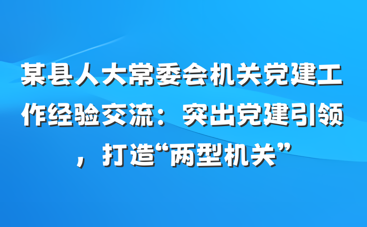 某县人大常委会机关党建工作经验交流：突出党建引领，打造“两型机关”