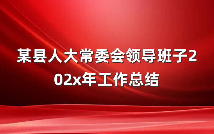 某县人大常委会领导班子202x年工作总结