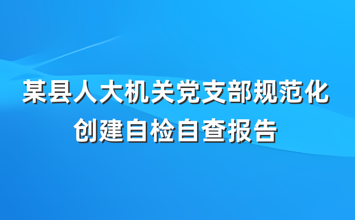 某县人大机关党支部规范化创建自检自查报告
