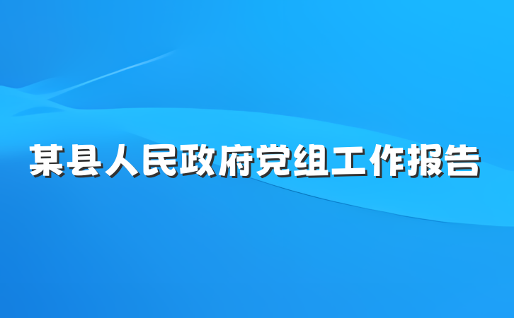 某县人民政府党组工作报告