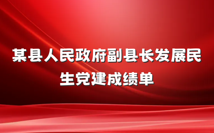 某县人民政府副县长发展民生党建成绩单