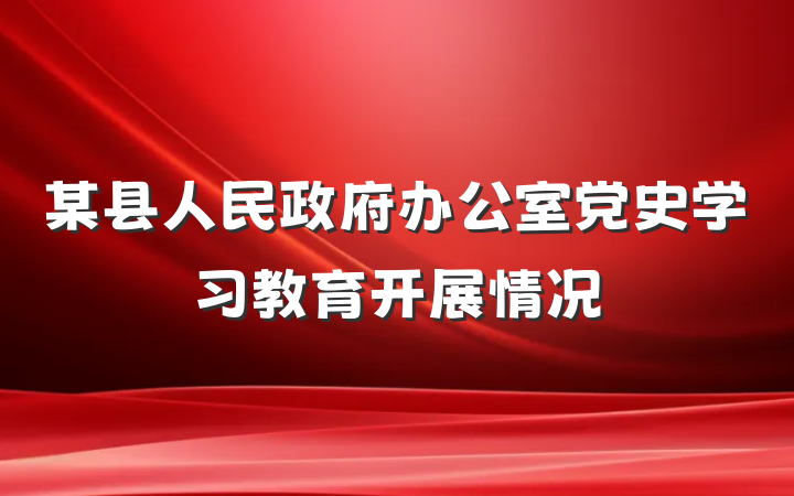 某县人民政府办公室党史学习教育开展情况