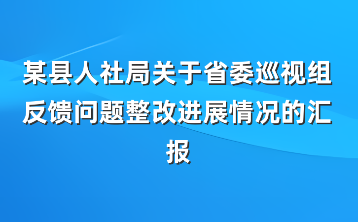 某县人社局关于省委巡视组反馈问题整改进展情况的汇报