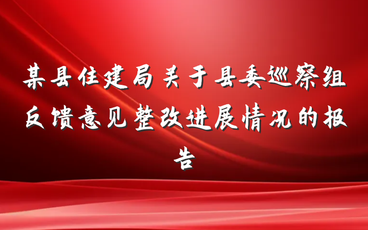 某县住建局关于县委巡察组反馈意见整改进展情况的报告