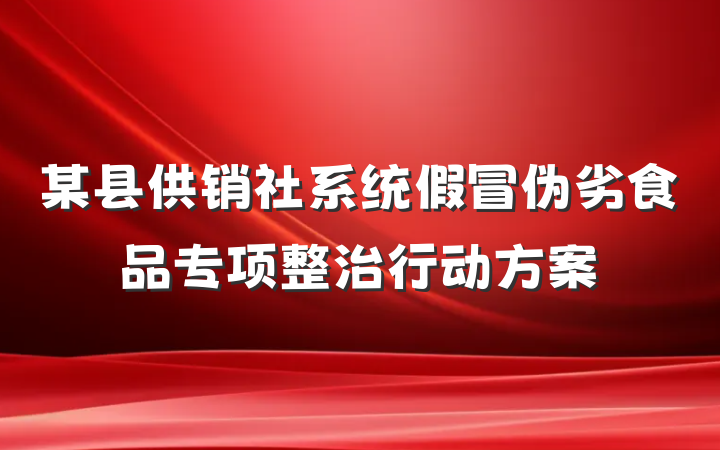 某县供销社系统假冒伪劣食品专项整治行动方案