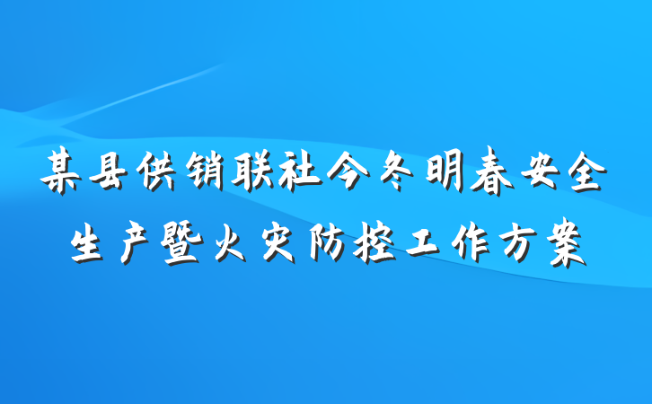 某县供销联社今冬明春安全生产暨火灾防控工作方案