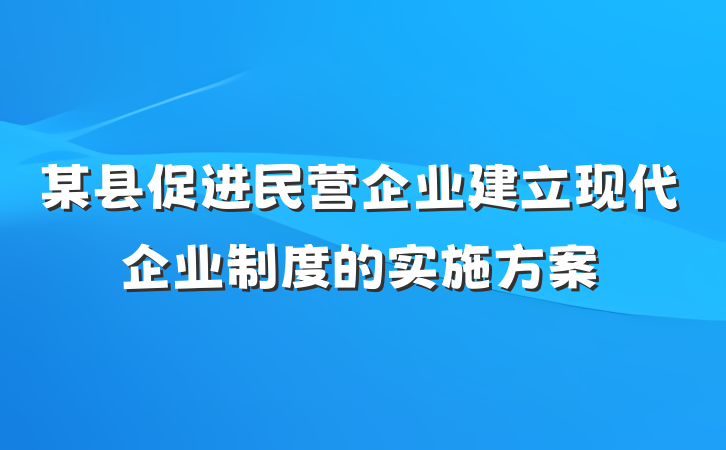 某县促进民营企业建立现代企业制度的实施方案