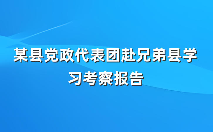 某县党政代表团赴兄弟县学习考察报告