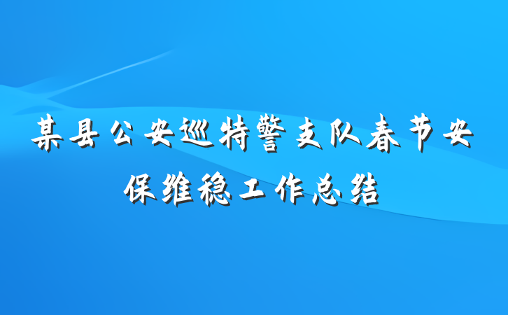 某县公安巡特警支队春节安保维稳工作总结