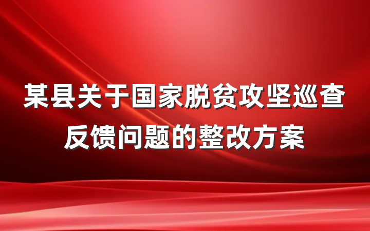 某县关于国家脱贫攻坚巡查反馈问题的整改方案