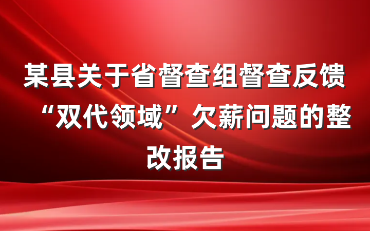 某县关于省督查组督查反馈“双代领域”欠薪问题的整改报告