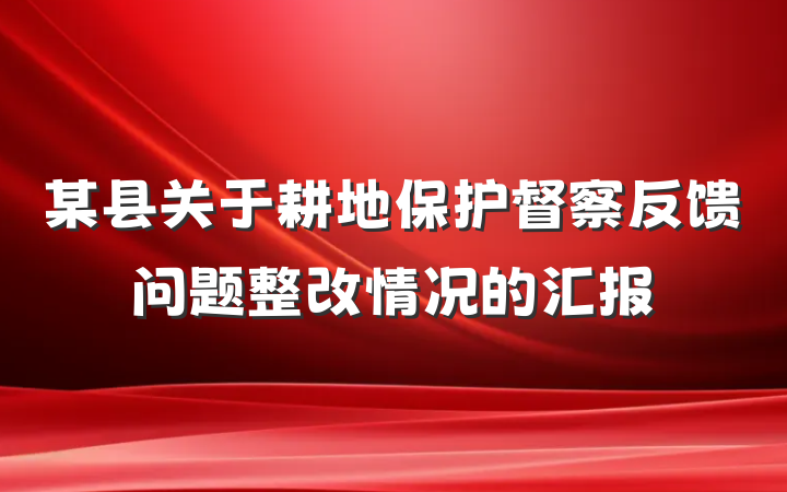 某县关于耕地保护督察反馈问题整改情况的汇报
