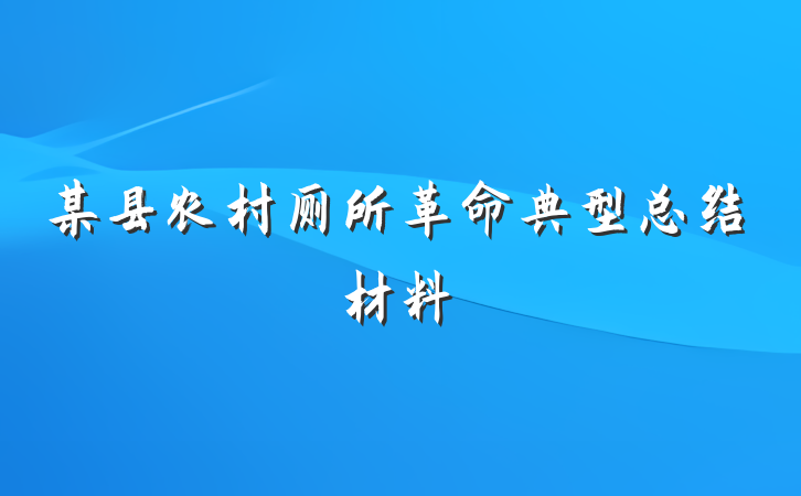 某县农村厕所革命典型总结材料