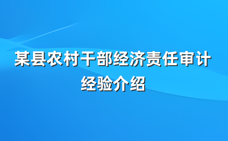 某县农村干部经济责任审计经验介绍