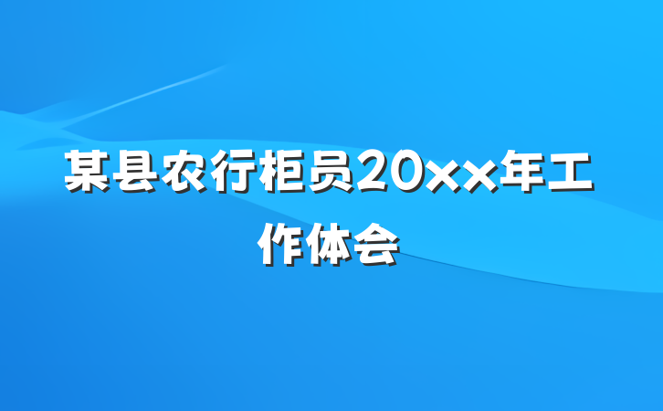 某县农行柜员20xx年工作体会