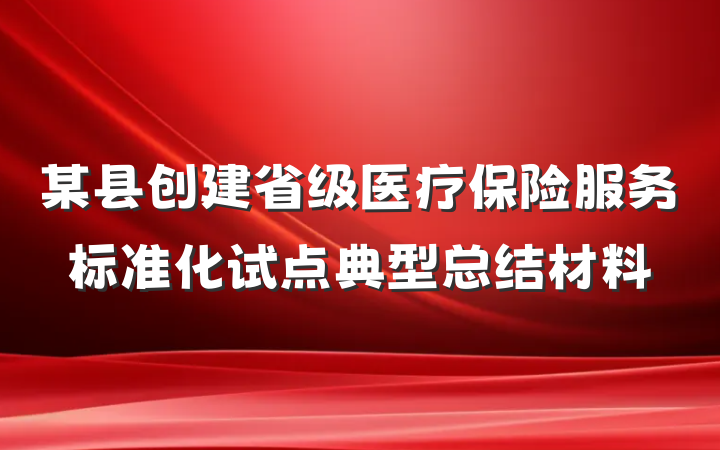 某县创建省级医疗保险服务标准化试点典型总结材料