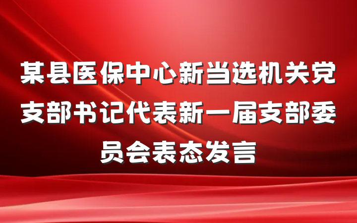 某县医保中心新当选机关党支部书记代表新一届支部委员会表态发言