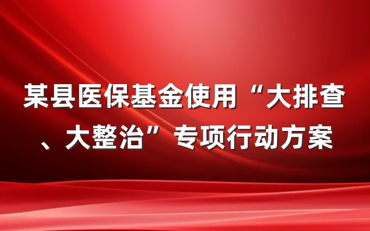某县医保基金使用“大排查、大整治”专项行动方案