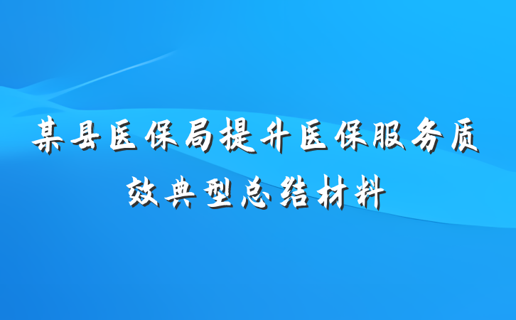 某县医保局提升医保服务质效典型总结材料