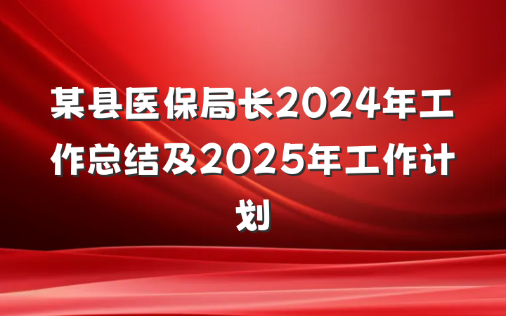 某县医保局长2024年工作总结及2025年工作计划
