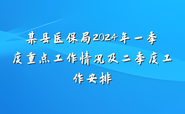 某县医保局2024年一季度重点工作情况及二季度工作安排