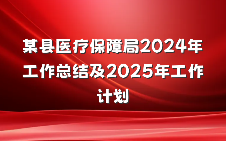 某县医疗保障局2024年工作总结及2025年工作计划