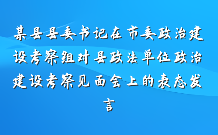 某县县委书记在市委政治建设考察组对县政法单位政治建设考察见面会上的表态发言