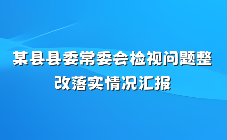 某县县委常委会检视问题整改落实情况汇报