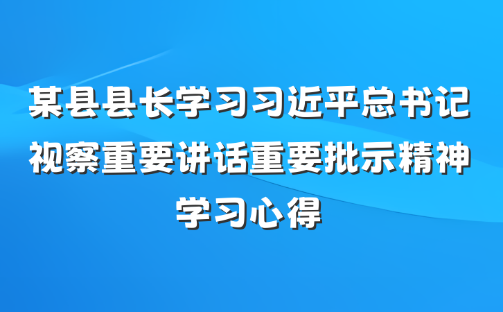 某县县长学习习近平总书记视察重要讲话重要批示精神学习心得
