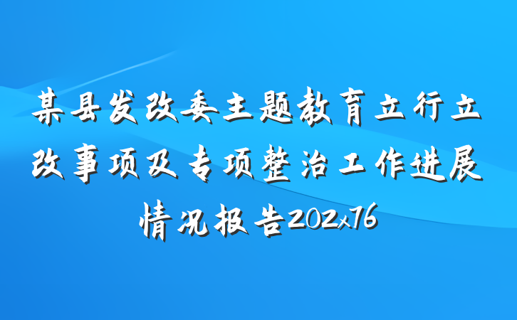 某县发改委主题教育立行立改事项及专项整治工作进展情况报告202x76