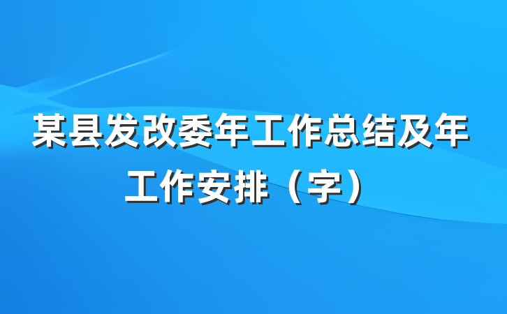 某县发改委年工作总结及年工作安排（字）