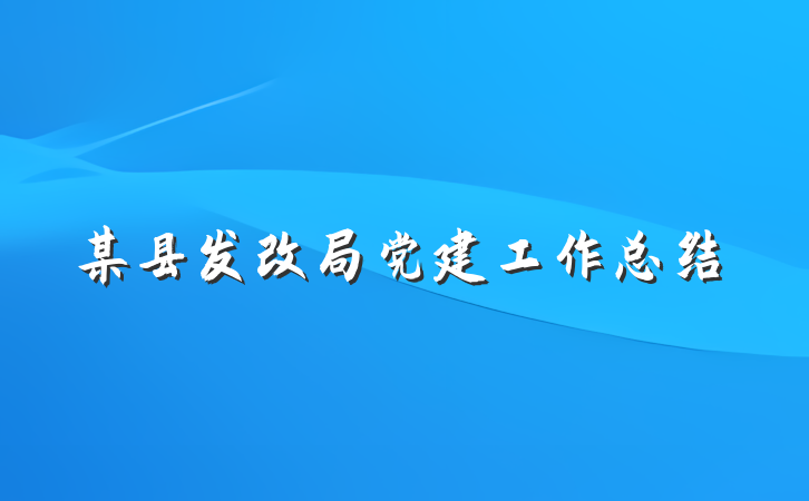 某县发改局党建工作总结