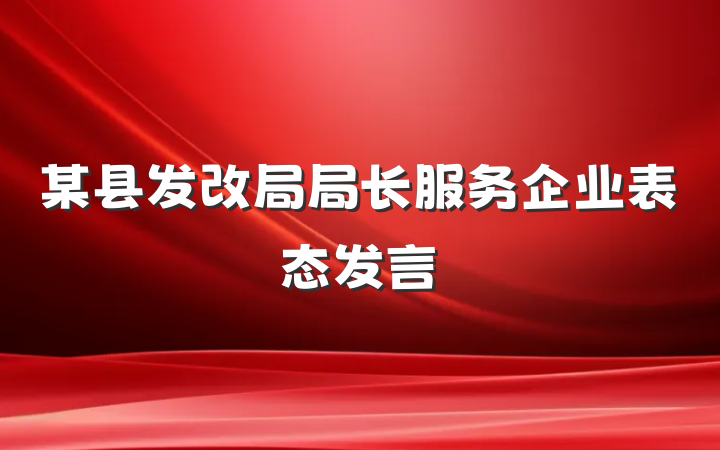 某县发改局局长服务企业表态发言