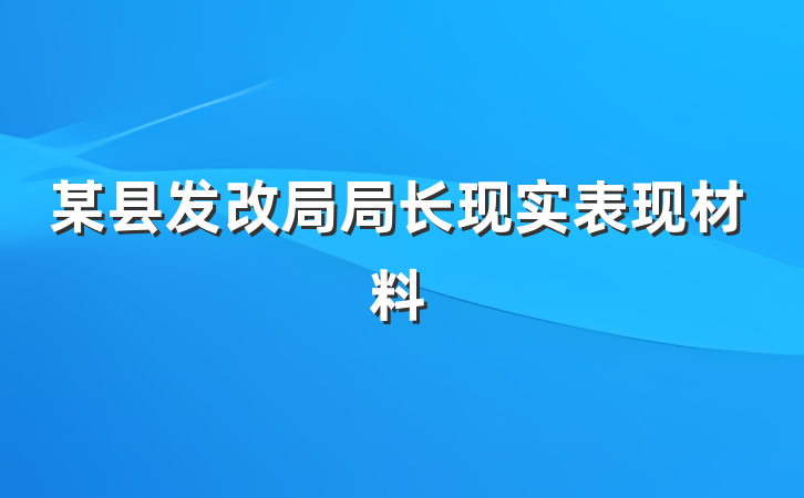 某县发改局局长现实表现材料